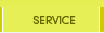 Menüpunkt: Service